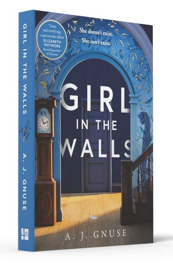 Бумажная книга «Girl in the Walls», автор А.Дж. Гнус - фото №1