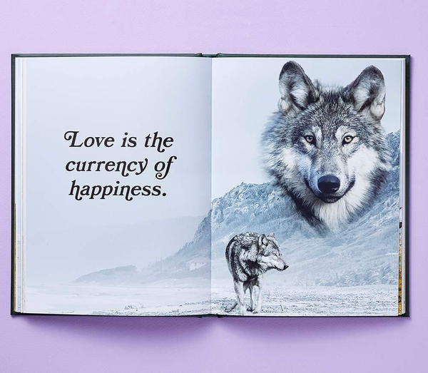 Бумажная книга «Wild Masterpieces: A Collection of Inspiring Animal and Pet Portraits», автор Эван Дуглас - фото №1