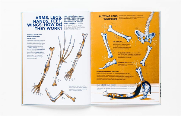 Бумажная книга «Who Owns These Bones?», автор Анри Кэп - фото №1