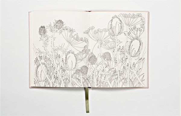 Бумажная книга «The Flower Year.  A Colouring Book», автор Лейла Дьюли - фото №1