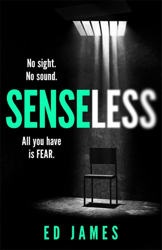 Паперова книга «Senseless», автор Ед Джеймс - фото №1