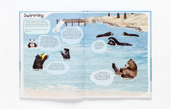 Бумажная книга «Book of Bears», автор Кэти Виггерс - фото №1