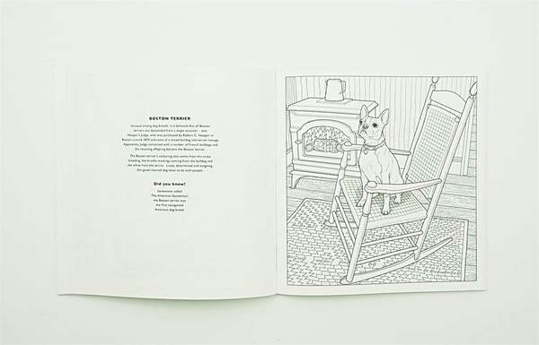 Паперова книга «All About the Dog. A Battersea Dogs & Cats Home Colouring Book» - фото №1