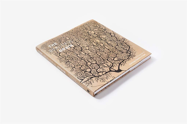 Паперова книга «The Beautiful Brain: The Drawings of Santiago Ramon y Cajal», авторів Альфонсо Араке, Ерік Ньюман, Ларрі Свенсон - фото №1