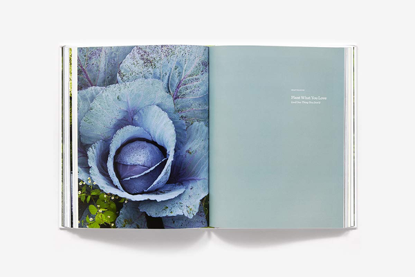Бумажная книга «A Garden Can Be Anywhere. Creating Bountiful and Beautiful Edible Gardens», автор Лаури Кранц - фото №1