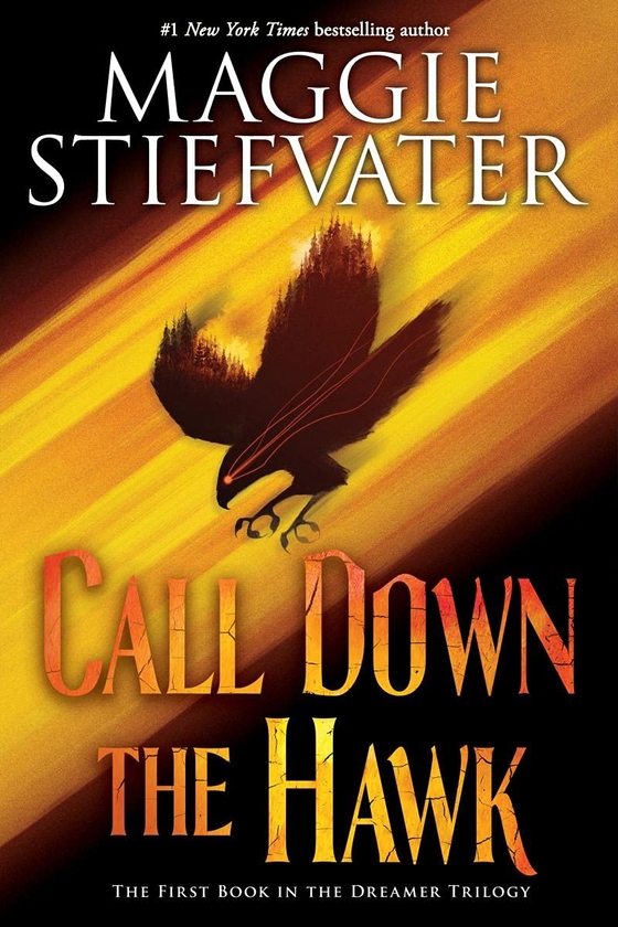 Паперова книга «Call Down the Hawk», автор Меггі Стівотер - фото №1