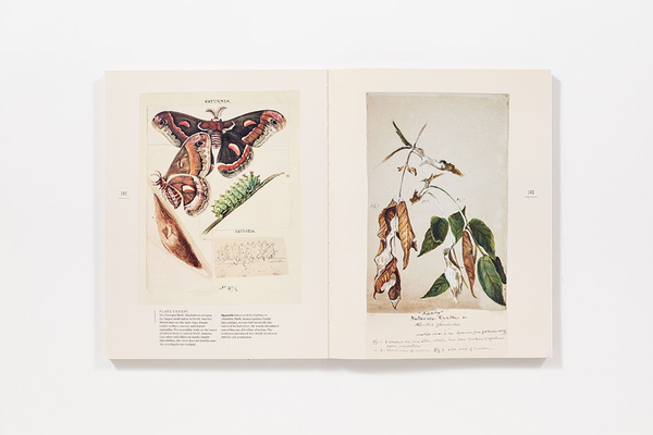 Бумажная книга «The Butterflies of North America: Titian Peale's Lost Manuscript» - фото №1