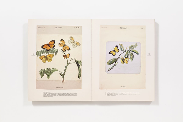 Бумажная книга «The Butterflies of North America: Titian Peale's Lost Manuscript» - фото №1