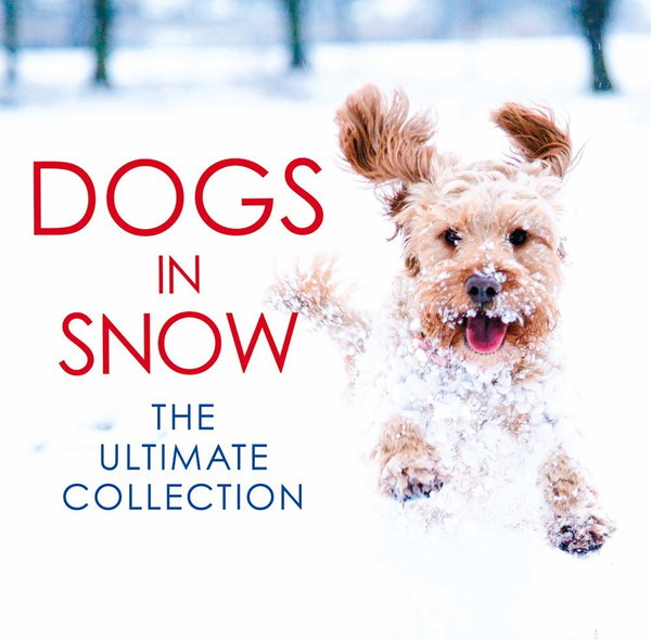 Паперова книга «Dogs in Snow. The Ultimate Collection», автор Х'юго Рос - фото №1