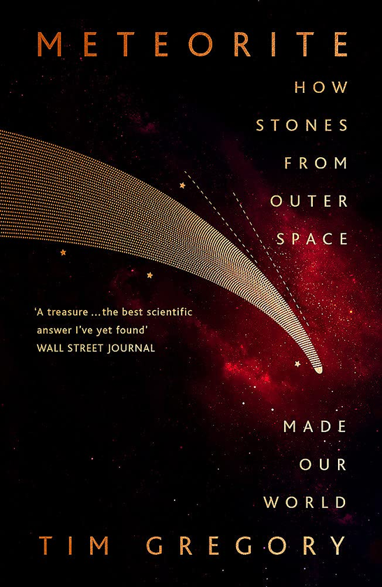 Бумажная книга «Meteorite. How Stones From Outer Space Made Our World», автор Тим Грегори - фото №1