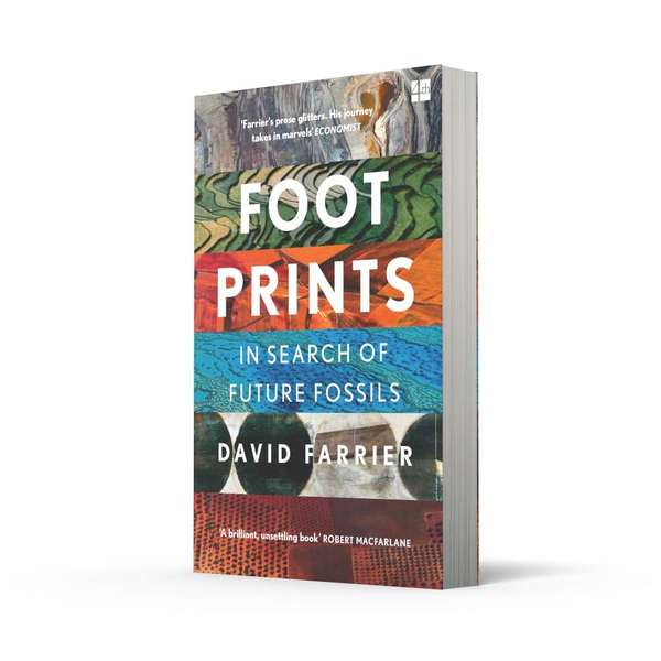 Бумажная книга «Footprints», автор Дэвид Фарье - фото №1