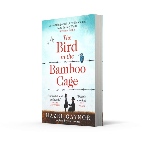 Паперова книга «The Bird in the Bamboo Cage», автор Хейзел Гейнор - фото №1