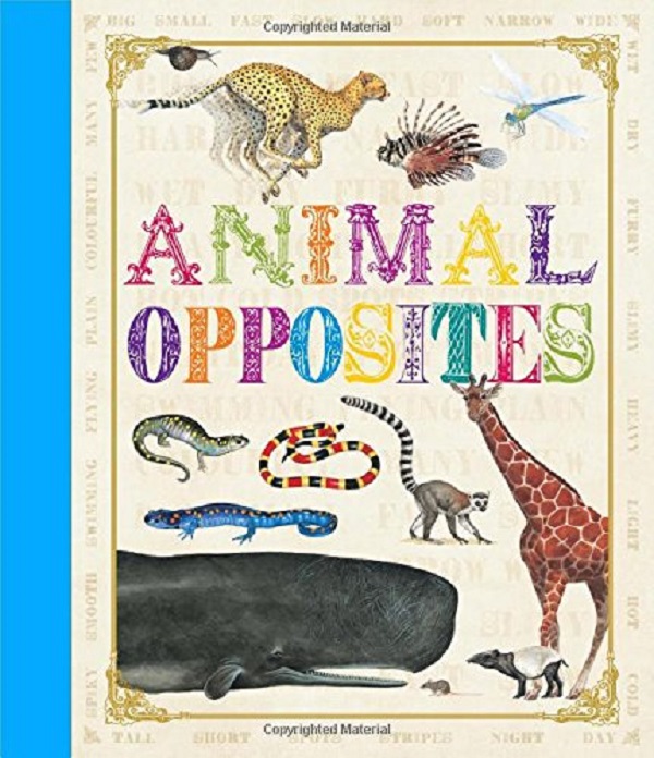 Бумажная книга «First Concept: Animal Opposites» - фото №1