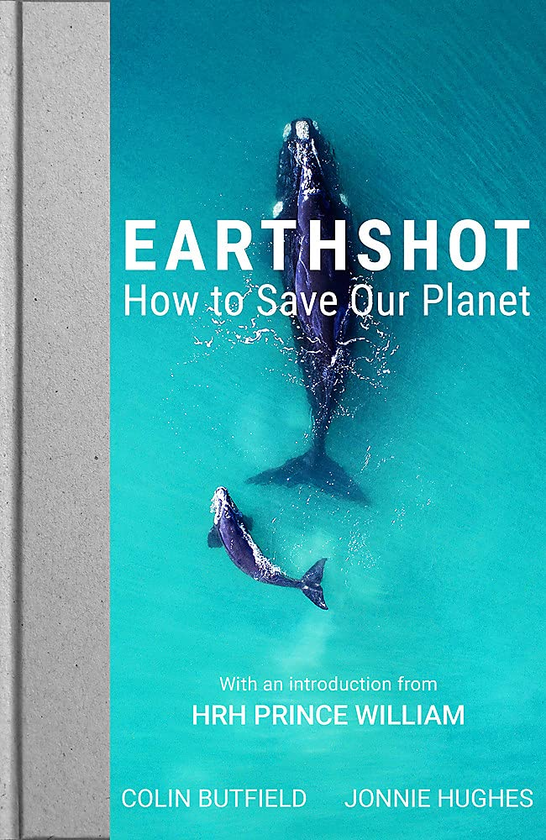 Бумажная книга «Earthshot. How to Save Our Planet», авторов Колин Батфилд, Джонни Хьюз - фото №1