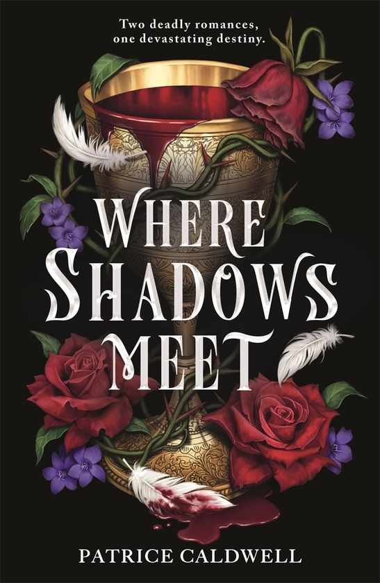 Паперова книга «Where Shadows Meet», автор Патріс Колдуелл - фото №1
