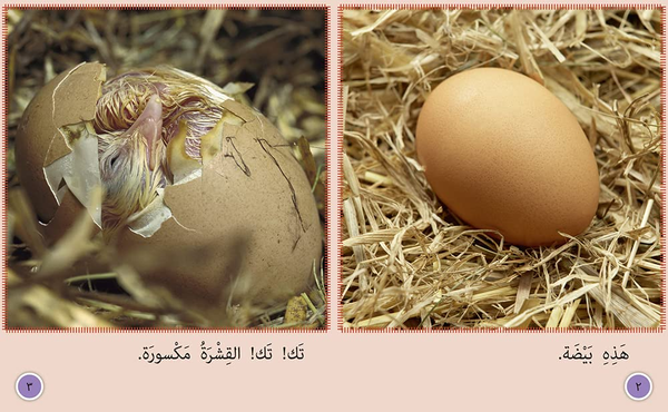 Паперова книга «Chick to Hen: Level 7» - фото №1