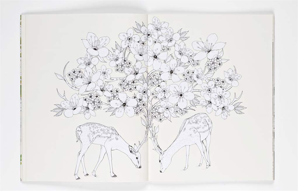 Бумажная книга «Into the Wild. An Exotic Animal Colouring Book», автор Дейзи Флетчер - фото №1