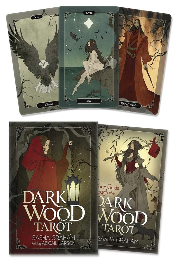 Паперова книга «Dark Wood Tarot», автор Саша Грехем - фото №1