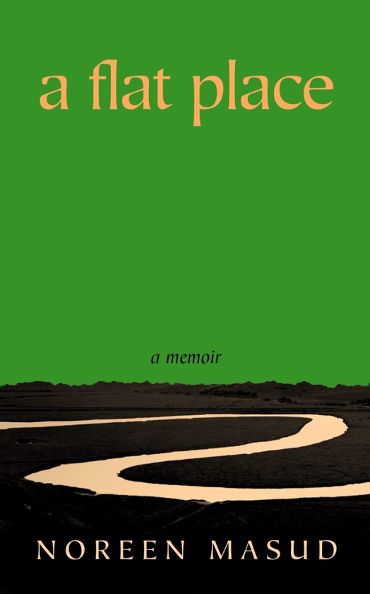 Бумажная книга «A Flat Place», автор Норин Масуд - фото №1