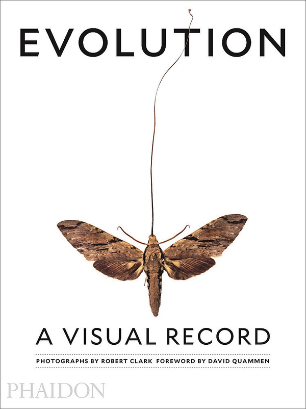 Бумажная книга «Evolution: A Visual Record», автор Роберт Кларк - фото №1