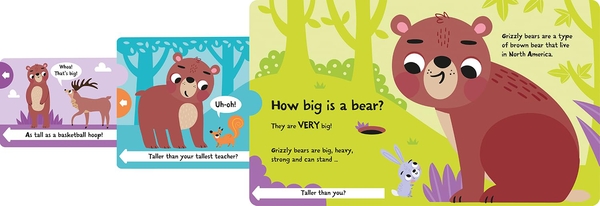 Бумажная книга «How Big is a Bear?», автор Лайза Риган - фото №1