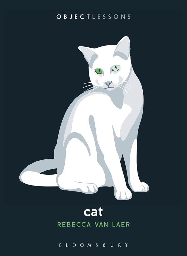 Паперова книга «Cat», автор Ребекка ван Лаер - фото №1