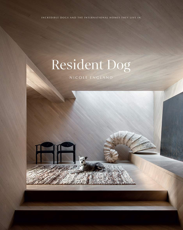 Бумажная книга «Resident Dog», автор Николь Ингленд - фото №1