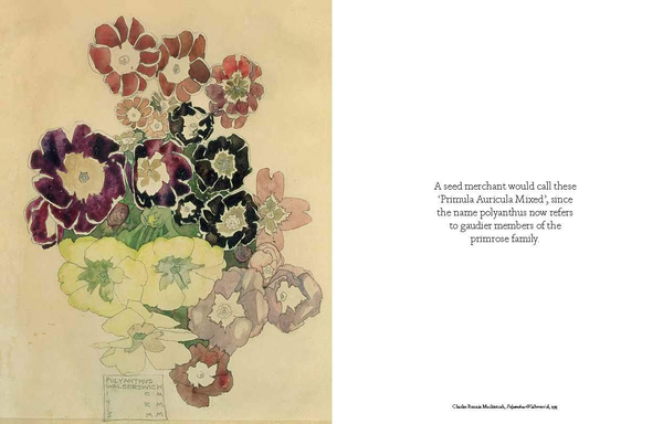 Бумажная книга «The Book of the Flower. Flowers in Art», авторов Ангус Хайленд, Кендра Уилсон - фото №1