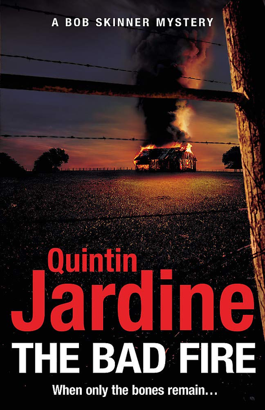 Бумажная книга «The Bad Fire», автор Квинтин Жардин - фото №1
