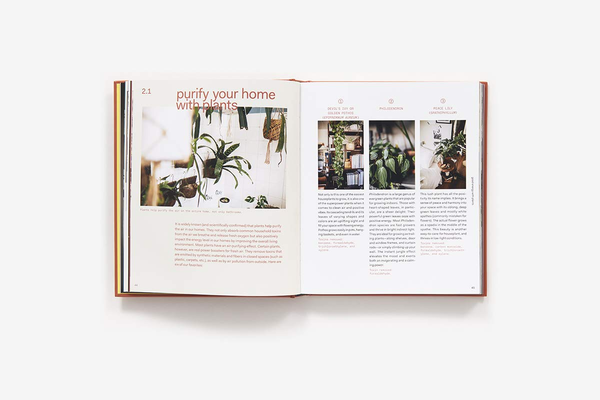 Бумажная книга «Plant Tribe: Living Happily Ever After with Plants», авторов Игорь Йосифович, Джудит де Грааф - фото №1