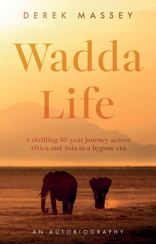 Бумажная книга «Wadda Life», автор Дерек Мэсси - фото №1