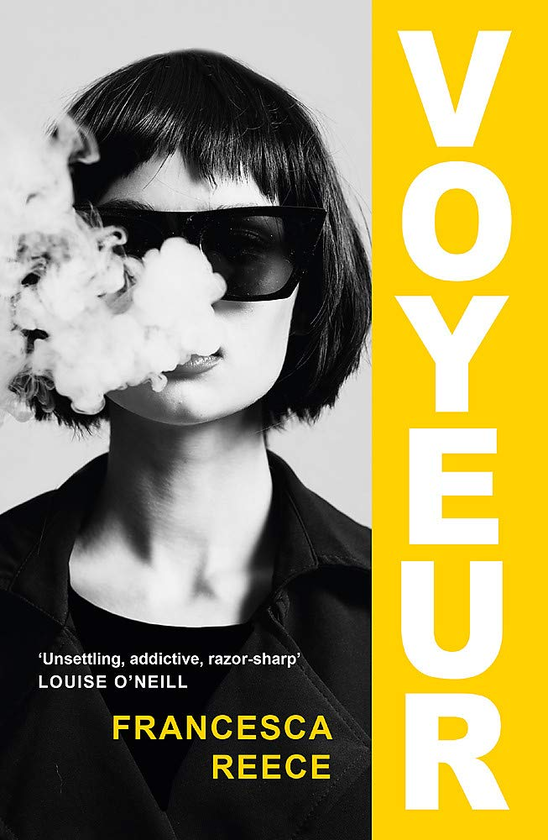 Бумажная книга «Voyeur», автор Франческа Рис - фото №1