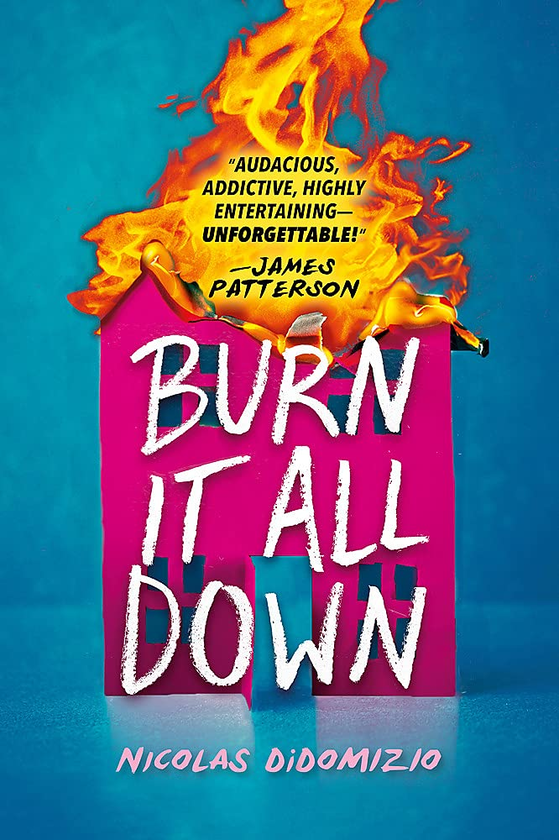 Бумажная книга «Burn It All Down», автор Николя Дидомизио - фото №1