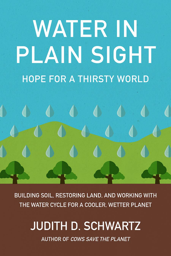 Бумажная книга «Water in Plain Sight. Hope for a Thirsty World», автор Джудит Д. Шварц - фото №1