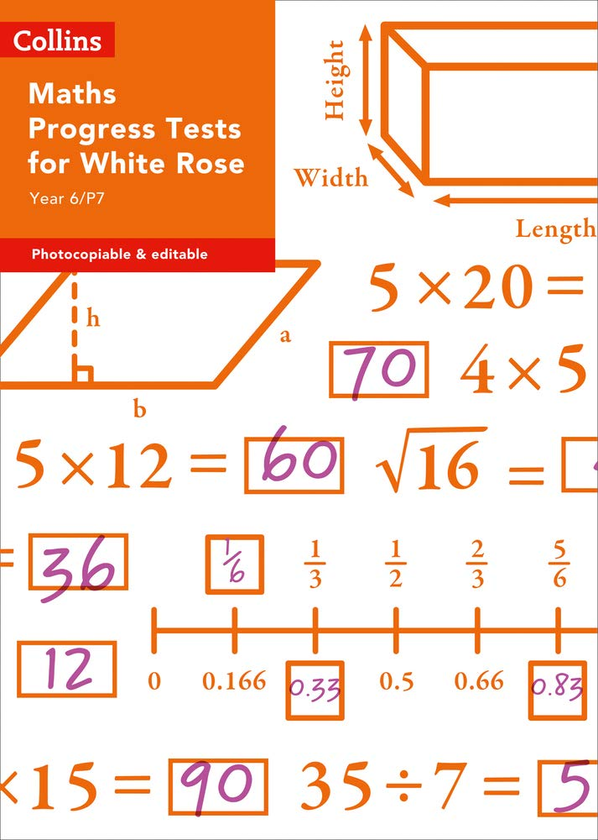 Бумажная книга «Year 6/P7 Maths Progress Tests for White Rose» - фото №1