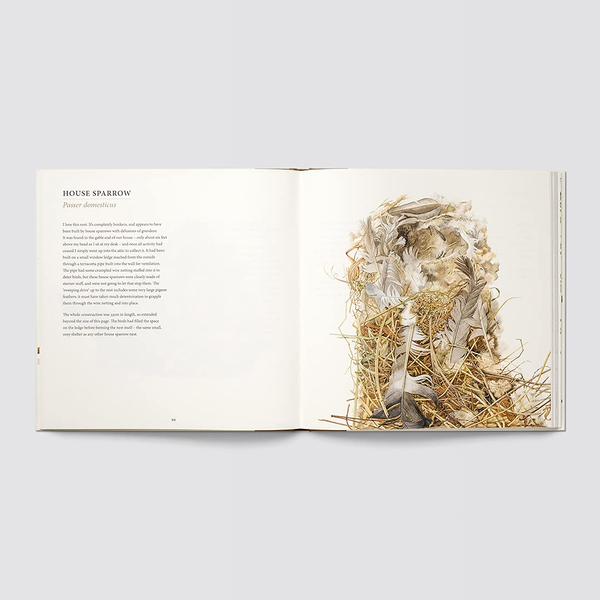 Бумажная книга «Nests», автор Сьюзан Огилви - фото №1