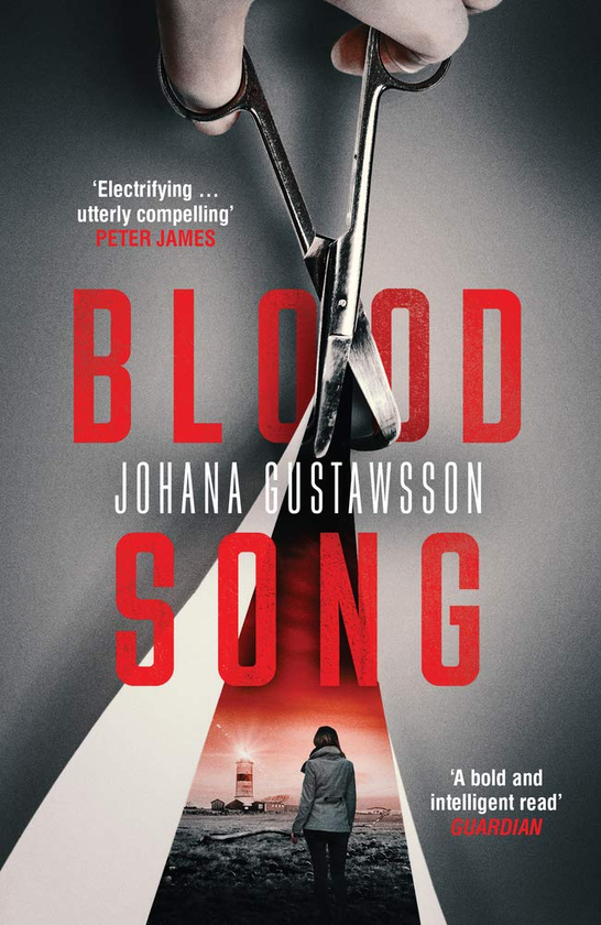 Бумажная книга «Blood Song», автор Йохана Густавссон - фото №1