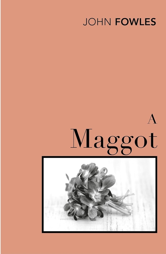 Паперова книга «A Maggot», автор Джон Фаулз - фото №1