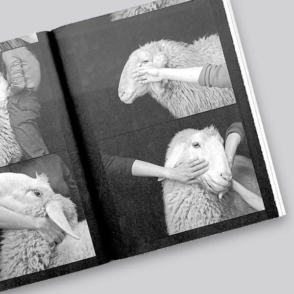 Бумажная книга «Formafantasma», авторов Андреа Тримарчи, Симоне Фаррезин - фото №1