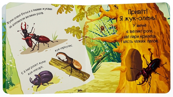 Бумажная книга «Знайомся, я комашка», автор Мария Жученко - фото №1