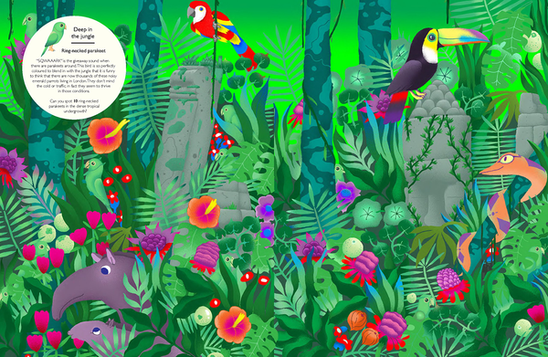 Паперова книга «The Big Bird Spot», автор Метт С’юел - фото №1