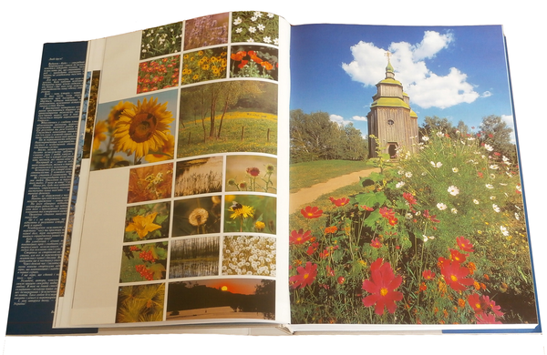 Бумажная книга «Київ. Енциклопедичний довідник» - фото №1