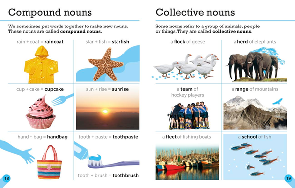 [object Object] «Visual Guide to Grammar and Punctuation. First Reference for Young Writers and Readers», автор Шейла Дігнен - фото №3 - мініатюра