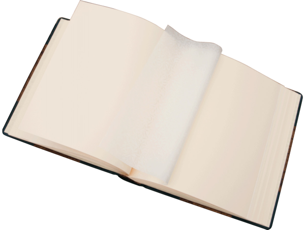 Бумажная книга «Подарочный фотоальбом "Прокуратура України" (racconto bronzo) (+ подставка)» - фото №1