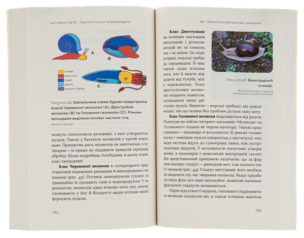 Бумажная книга «Зоологічна екскурсія супермаркетом», автор Леонид Горобец - фото №1