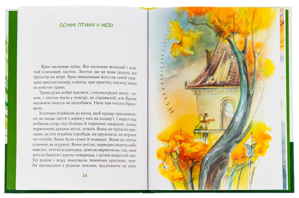 Паперова книга «Зелений скрипаль», автор Ніна Бічуя - фото №1