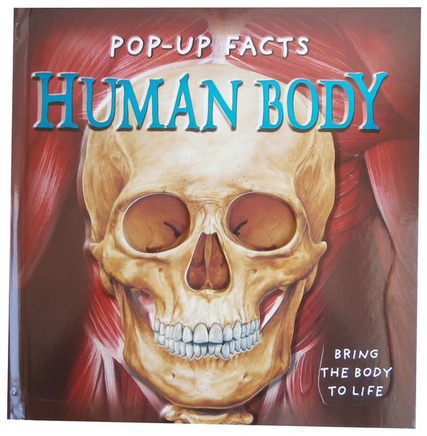 Паперова книга «Pop-Up Facts. Human Body», авторів Емілі Хокінс, Сью Харріс - фото №1