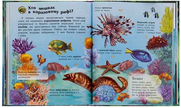 Бумажная книга «Енциклопедія дошкільника (збірник)» - фото №1