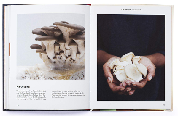 Паперова книга «How to Grow Your Dinner Without Leaving the House», автор Клер Ратінон - фото №1