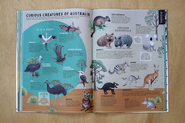 Бумажная книга «I Heart the World. A Celebration of Land, Sea, Flora, Fauna and People around the Globe», автор Таня МакКартни - фото №1